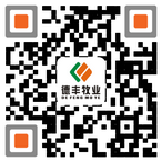 掃一掃，關(guān)注我們最新消息